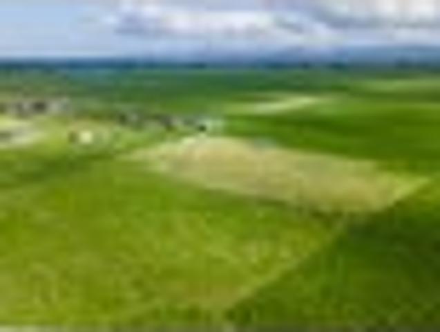 Build, Graze or Landbank