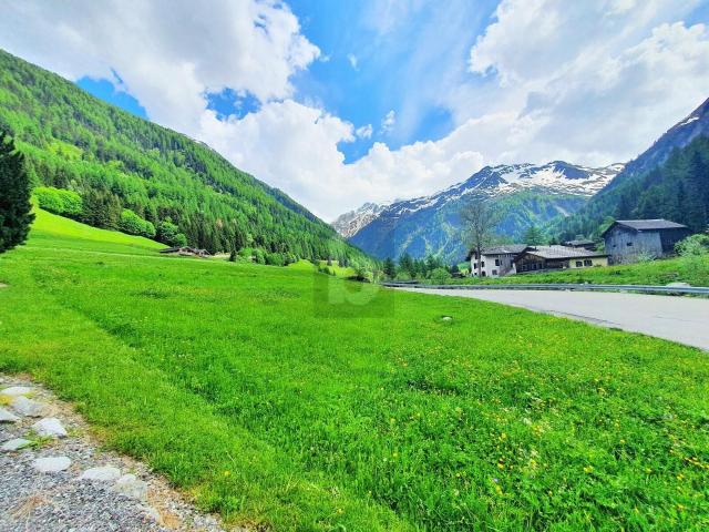 Building lot on sale in Trient Ref 1411 | dreamo. Ch