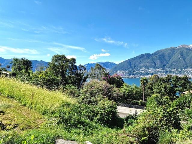 Building lot on sale in Vira Gambarogno Ref 485 | dreamo. Ch