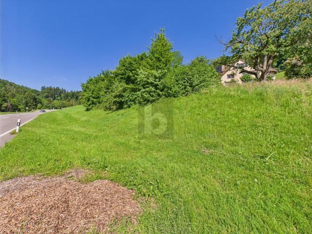 Building lot on sale in Berneck Ref 1410 | dreamo. Ch