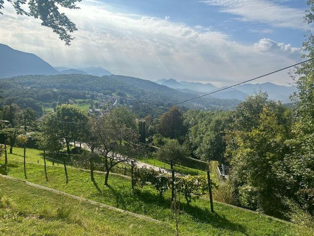 Building lot on sale in Bigorio Ref 4Y2Q X7A8 42 | dreamo. Ch