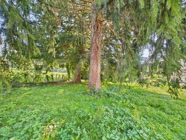 Building lot on sale in Castelrotto | dreamo. Ch