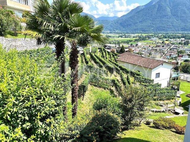 Building lot on sale in Gordola Ref 6749 | dreamo. Ch