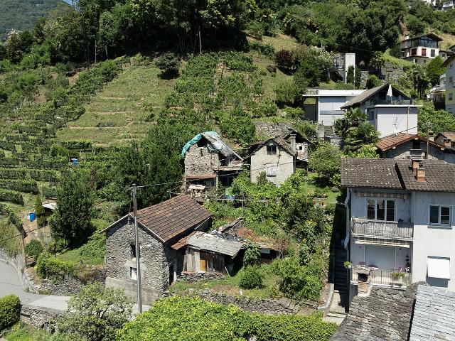 Building lot on sale in Gordola Ref VI 000250 | dreamo. Ch