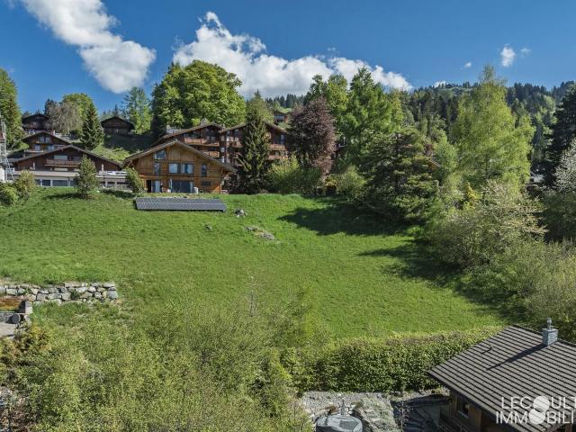 Building lot on sale in Gryon Ref LEC 13262 | dreamo. Ch