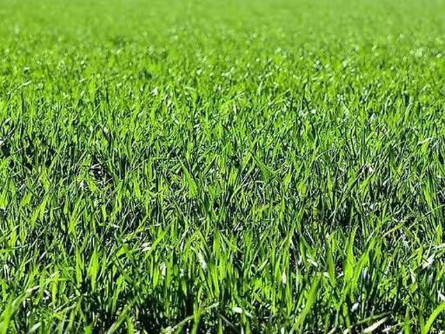 Building lot on sale in Ludiano Ref 118974 | dreamo. Ch