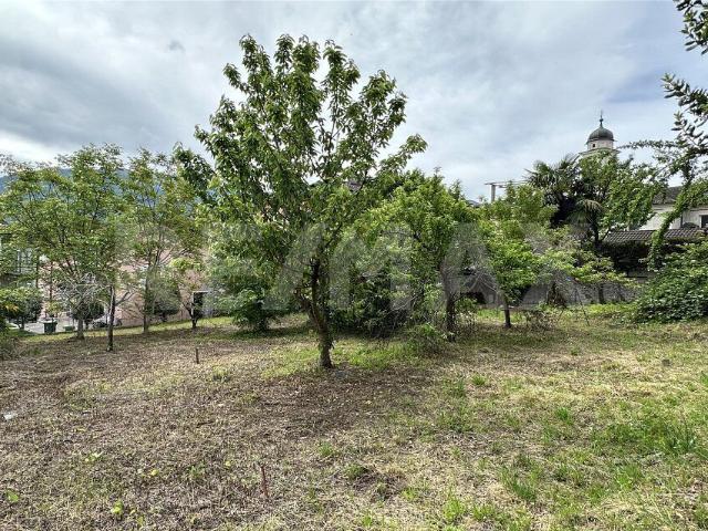 Building lot on sale in Minusio | dreamo. Ch