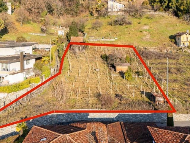 Building lot on sale in Minusio Ref 95267 | dreamo. Ch