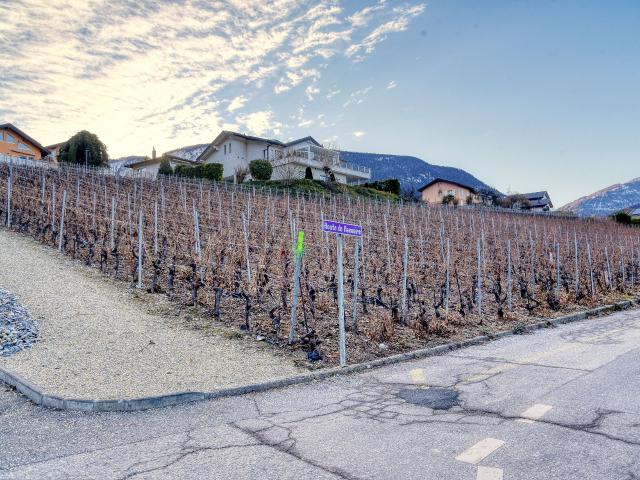 Building lot on sale in Miège | dreamo. Ch