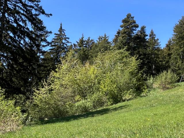 Building lot on sale in Savièse Ref ter26 | dreamo. Ch