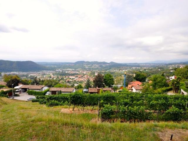 Building Plot 2'283 sqm with Panoramic View for sale in Morbio Superiore | dreamo. Ch