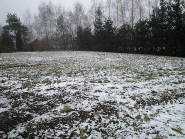 BUk 1 285 m², Buk