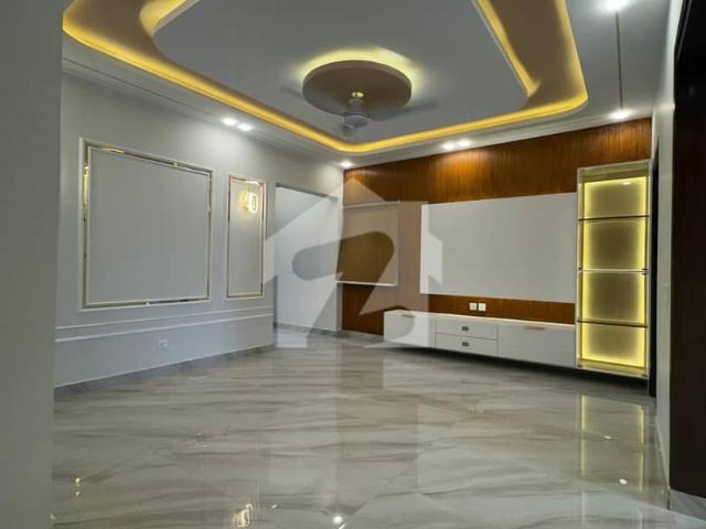 Bukhari Commercial Top Quality Finished Fully Renovated Apartment Is Available For Sale