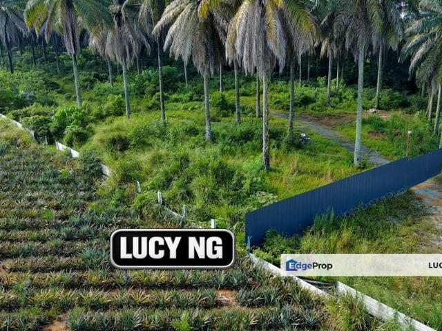 Bukit Teh