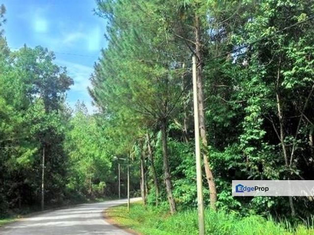 Bukit Tinggi