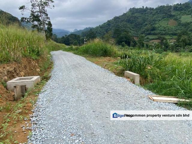 Bukit Tinggi agriculture land