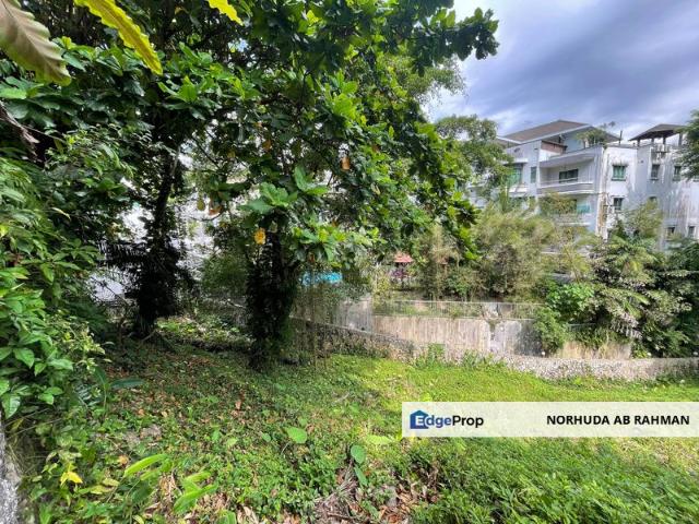 Bukit Tunku