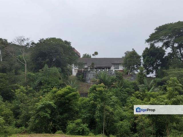 Bukit Tunku