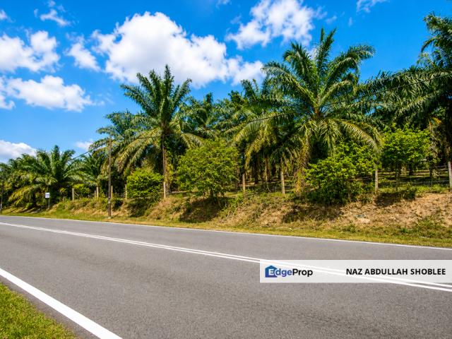 Bukit Bakri Muar Freehold Land 5.178 Acres Residential Zone Main Road Frontage