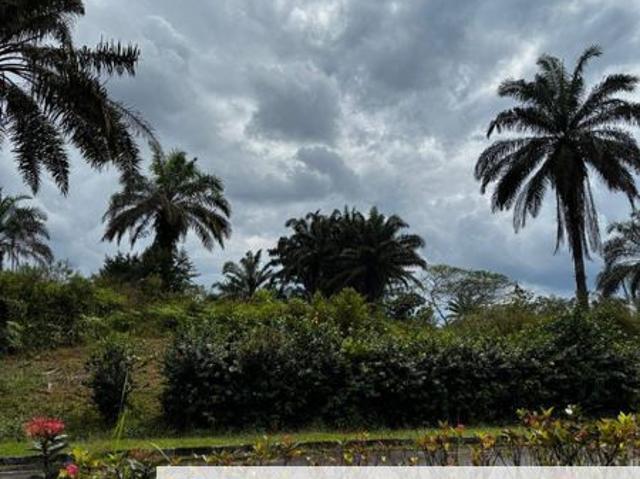 Bukit Batu, Sedenak