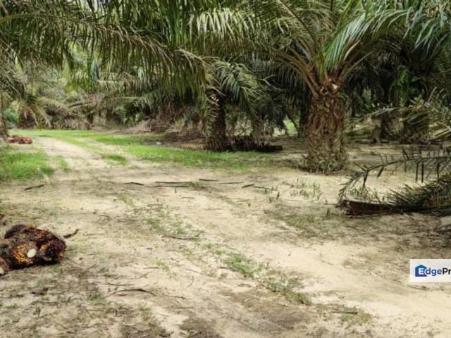 Bukit Beruntung