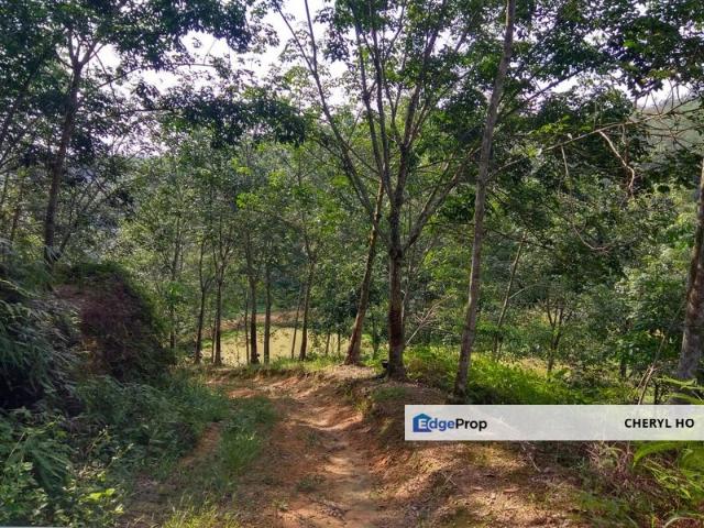 BUKIT BERUNTUNG