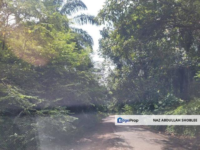 Bukit Damar