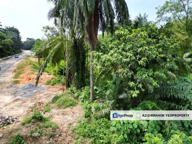 Bukit Damar