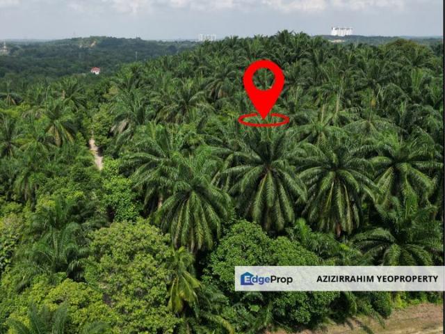 Bukit Damar