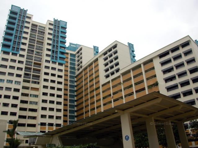 Bukit Panjang Ring Road Bukit Panjang, HDB 5 Rooms