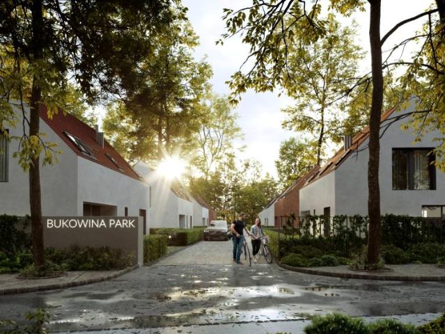 Bukowina 148,72 m², Domaszczyn