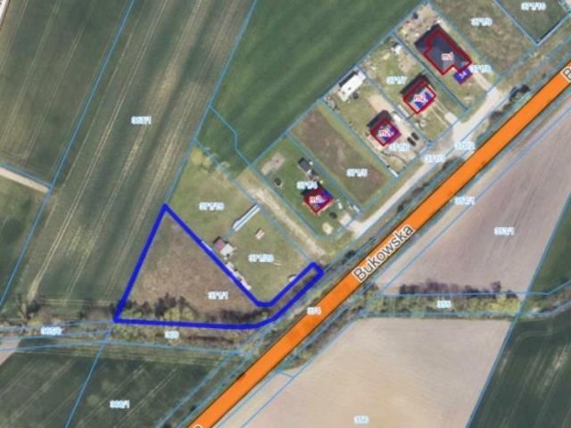 Bukowska 2 208 m², Grzebienisko