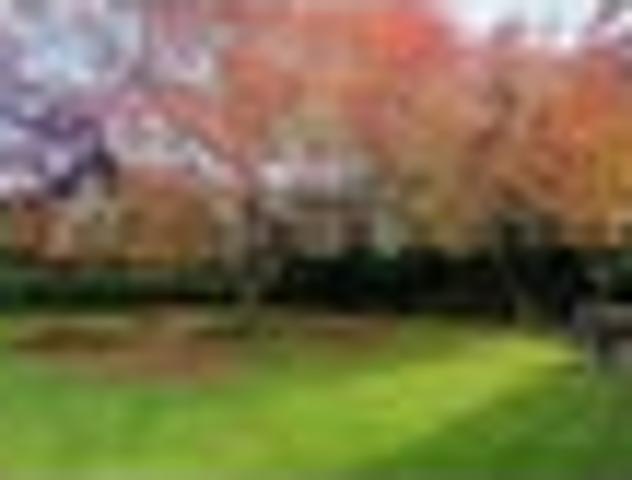 Bulls, 4 bedrooms, $700 pw