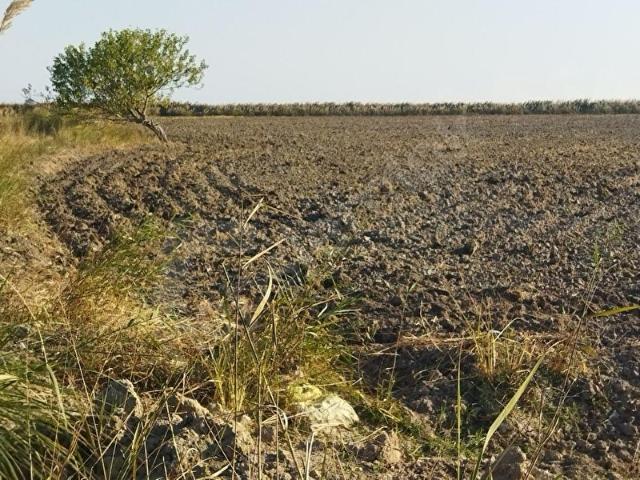 BURUNUCU ' NDA HOBİ BAHÇESİ İÇİN SATILIK 3774 M2 ARAZİ