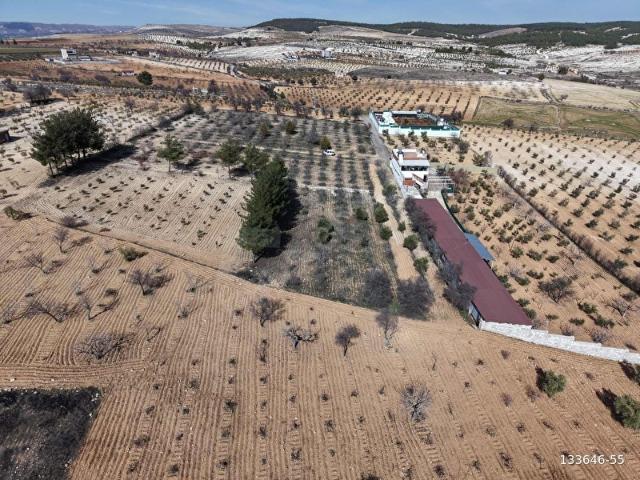 BURÇ ESENTEPE FIRSAT YÜKSEK KONUMDA İMAR SINIRINDA 2065 m
