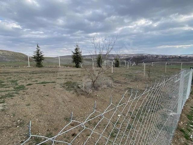 BUR FIRSAT KAÇMAZ SAKLI ÇENNET BAHÇELERİN'DE 3 ADET FİYATIDIR