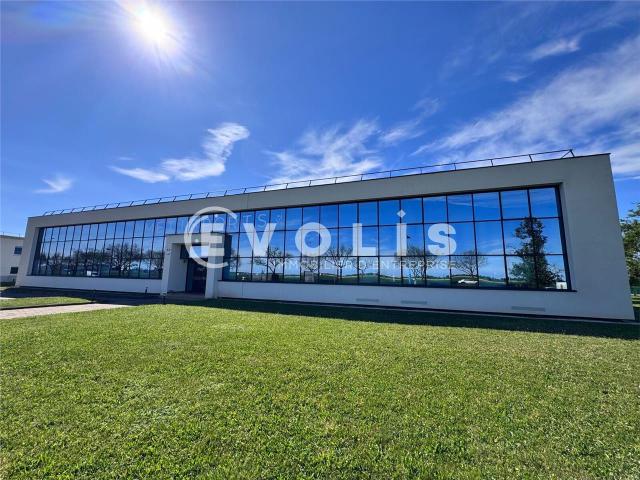 Bureaux à louer Bron Proche EUREXPO et aéroport