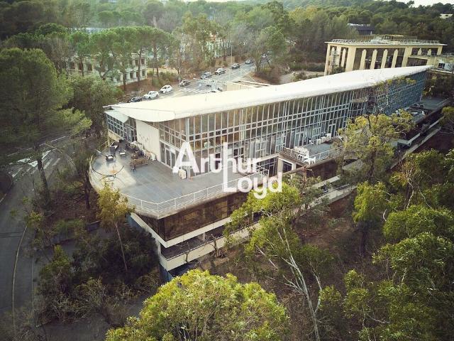 Bureaux à louer Sophia Antipolis Proche autoroute A8 et gare routière