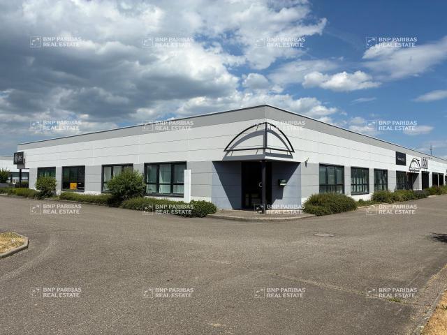 Bureaux à vendre Sausheim Haut Rhin 68