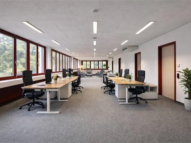 Bureaux lumineux, plug and play avec rampe d'accès !