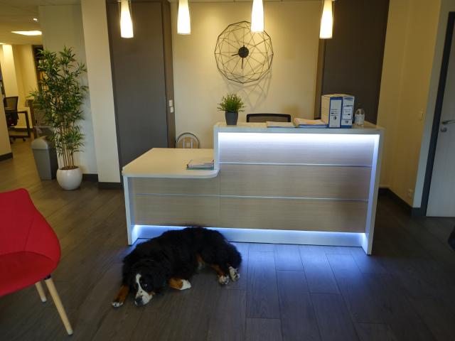 BUREAUX 130 M2 PARIS 12