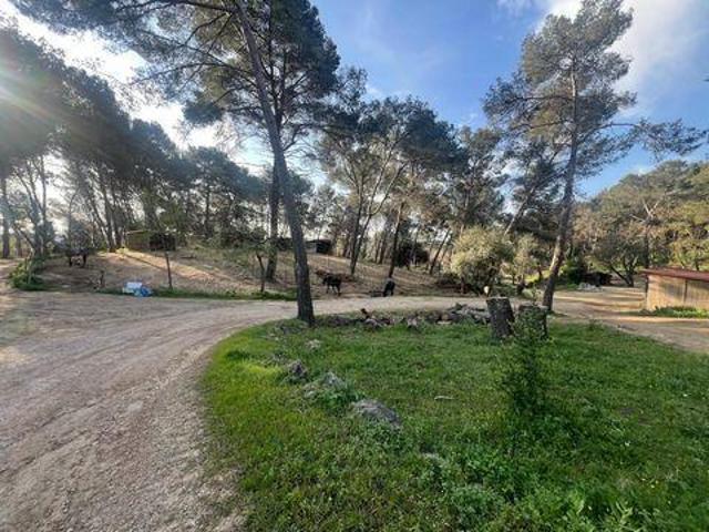 Bureau Mougins Provence Alpes Côte d'Azur 06250 DLS89392674