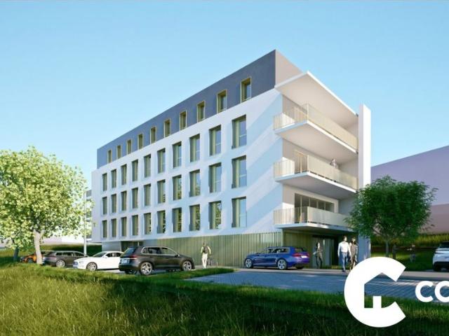 Bureau prestigieux de 155 m2 en vente Anglet, France