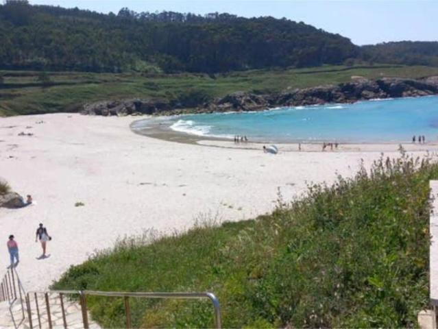 Burela