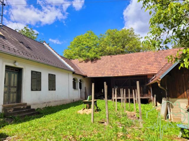 Burgenländischer Streckhof mit viel Potential 1679 m² Grundstück BW in Kemeten!
