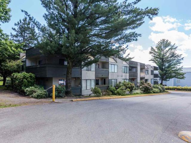 Burnside Apartments 1 Bedroom Apartment for Rent at 13784 101 Ave, Surrey, BC V3T 1L4 Surrey Metro Centre