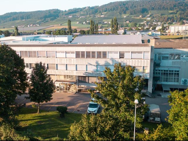 Büro und Gewerbefläche im Erdgeschoss zu vermieten