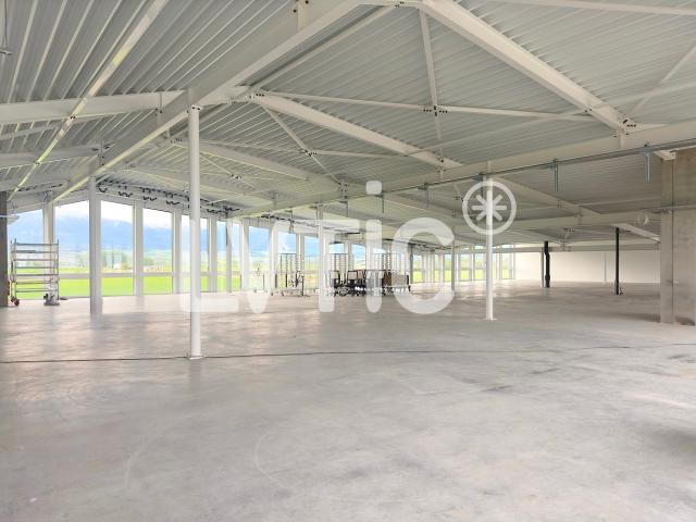 Büros von 800 m2, teilbar ab 300 m2, zu vermieten in Chavornay