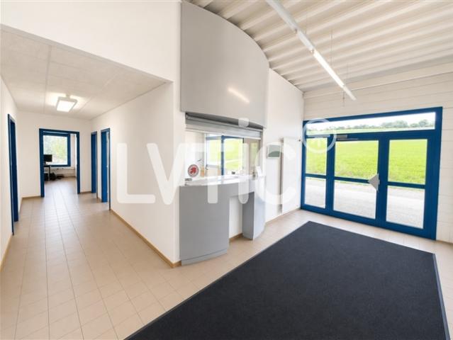 Büros, Lokal von 220 m2 zu vermieten in Yverdon – Treycovagnes