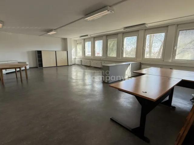 Zu Vermieten Büros Steinabrückl Steinabrückl DS102023127